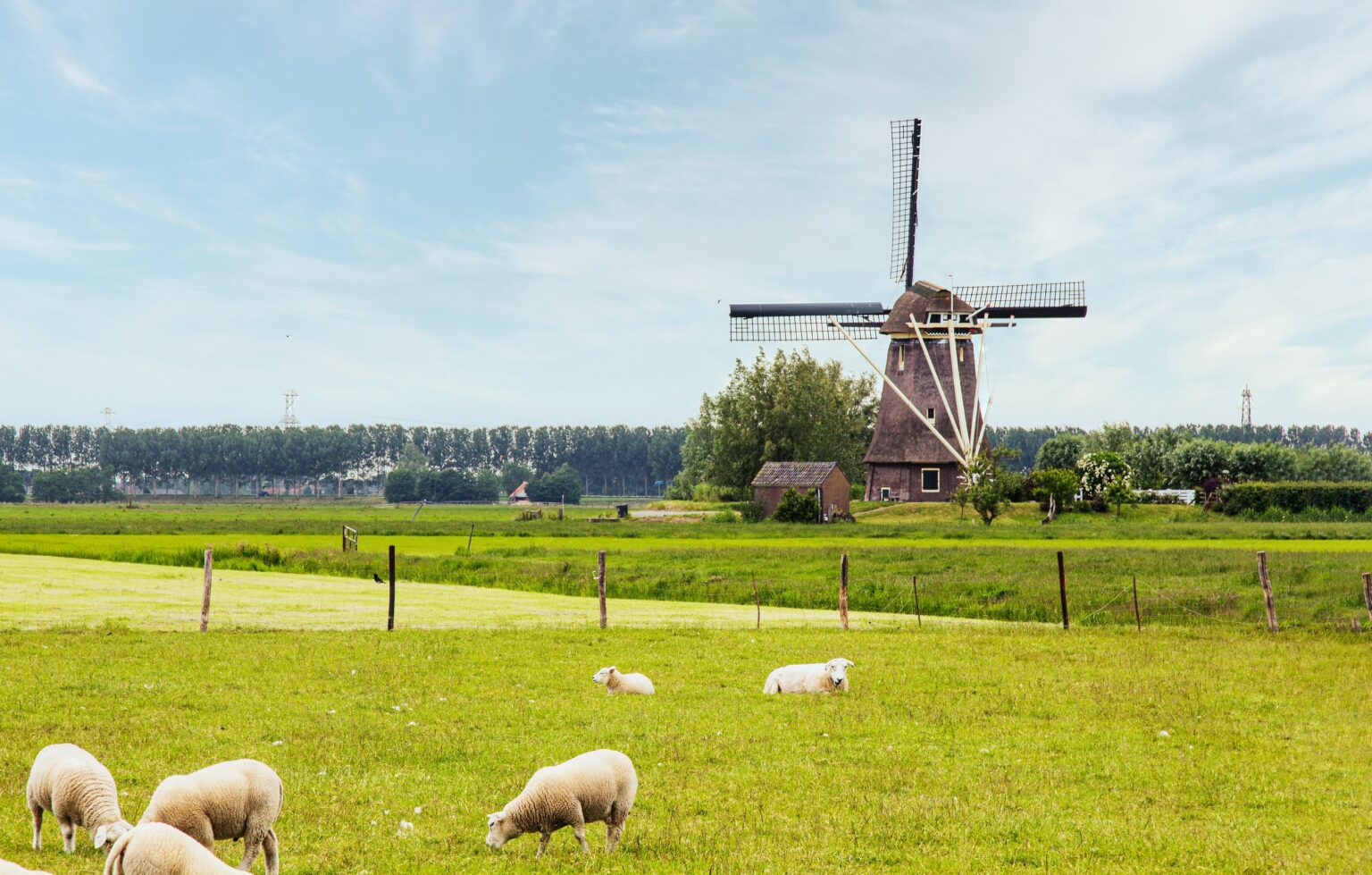 are-dutch-doctors-too-willing-to-euthanise-people-with-autism-and